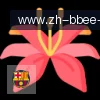 BB体育 logo