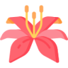 BB体育 logo